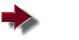 Downloads: 315